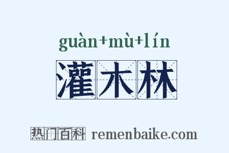 灌木林是什么意思的图片